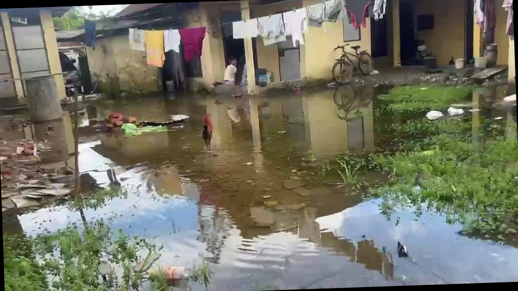 <p><strong>6 साल से जलभराव की मार झेल रहा राजाबाड़ी परिजात नगर, हल्की बारिश में डूब जाता है पूरा इलाका; 300 से अधिक परिवार परेशान</strong></p>