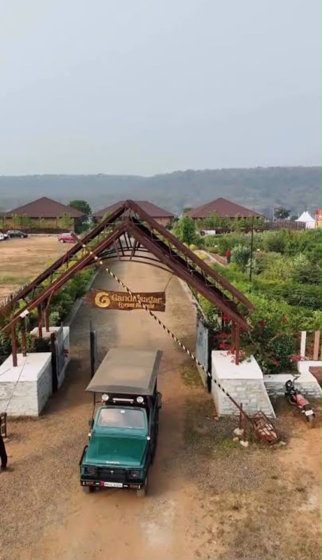 <p>गांधीसागर फॉरेस्ट रिट्रीट के 5वें संस्करण का 15 अक्टूबर से शुभारंभ</p><p> </p>
