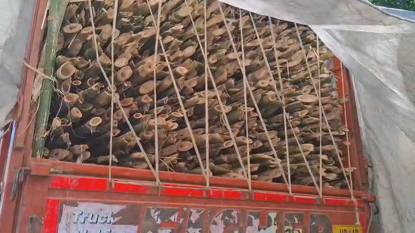 <p>असम : <strong>डीमा हासाऊ : वन विभाग की बड़ी कार्रवाई, अवैध बांस और अगर की लकड़ी से लदे 3 वाहन जब्त; ड्राइवरों ने लगाए गंभीर आरोप</strong></p><p> </p>